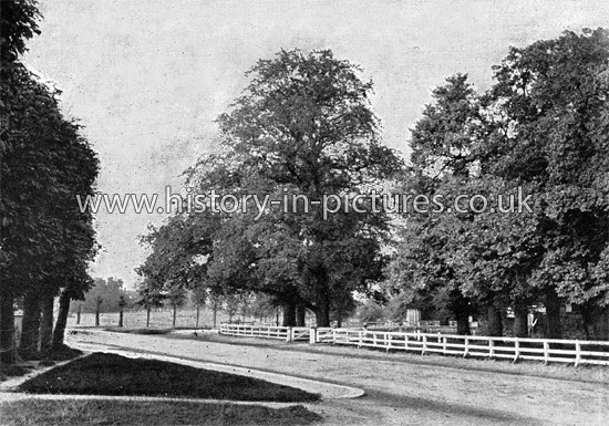 Salway Hill, Woodford Green, Essex. c.1904